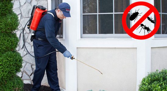 Kazımkarabekir Böcek ve Haşere İlaçlama böcek ilaçlama ve haşere kontrolü — ilaclama-tr.com